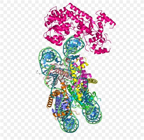 Swi Snf Chromatin Structure Remodeling Rsc Complex Chromatin