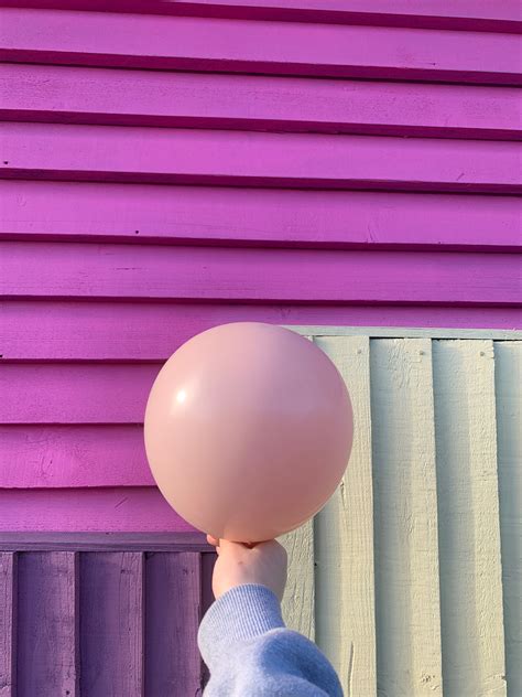 Kalisan Standard Pink Blush Pro Balloon Shop