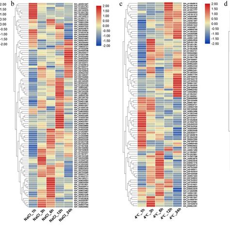 Expression Patterns Of Ghacos Under Drought Salt Cold And Heat