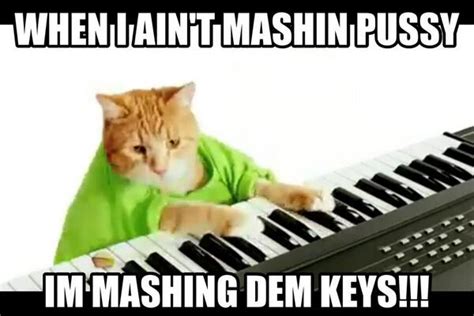 Horny Cat CatHorny Twitter