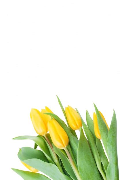 Free Photo Beautiful Bouquet Of Fresh Tulips