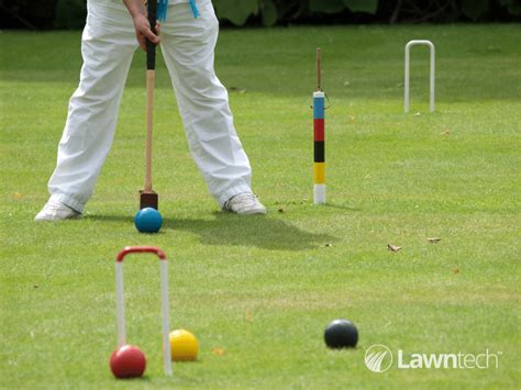 Croquet And How You Can Play It On Your Lawn Lawntech