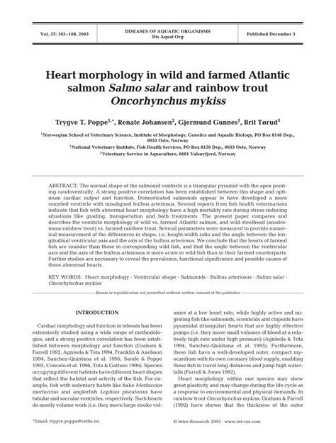 PDF Heart Morphology In Wild And Farmed Atlantic Salmon Salmo Salar