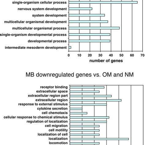 Gene Ontology Analysis Of Genes Upregulated And Downregulated Go Download Scientific Diagram