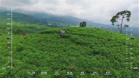 Drone Kebun Teh Tawamangu Youtube