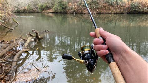 Catching Tons Of Stocked Trout In North Georgia Youtube