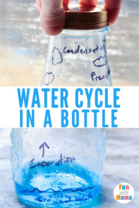 Water Cycle Experiment For Kids