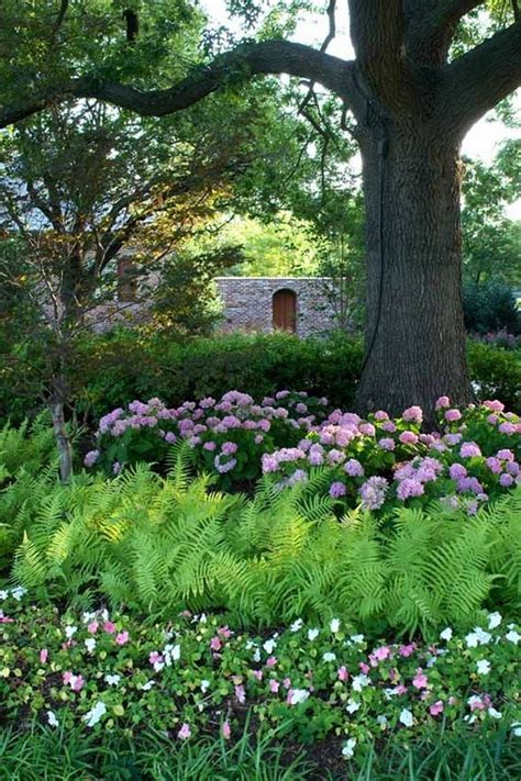 Shade Garden Design Ideas Photos