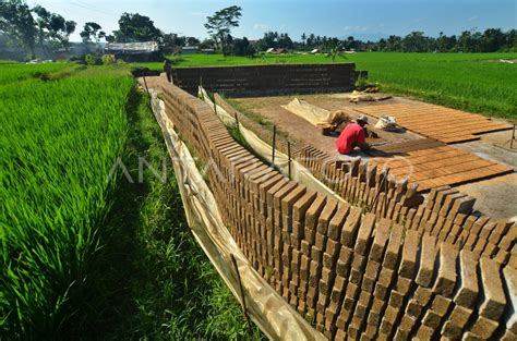 Alih Fungsi Lahan Pertanian Antara Foto