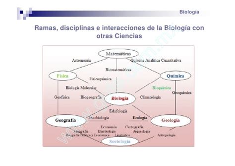 Cuadros sinópticos sobre Biologia Cuadro Comparativo