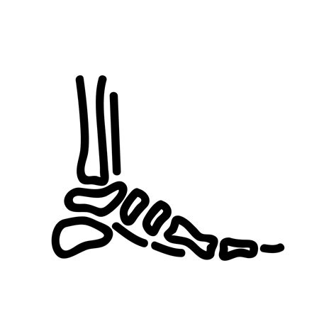 Foot Bone Icon Vector Isolated Contour Symbol Illustration 11994857 Vector Art At Vecteezy