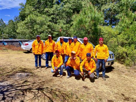 Se Preparan Brigadistas Para Apagar Incendios Forestales En Michoac N