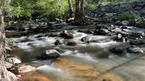 Verde River Stories: Celebrating Our Connection with the Verde River ...