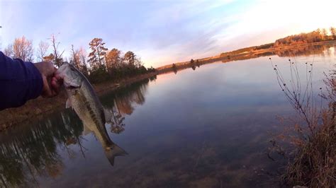 Late Winter Bass Fishing Youtube