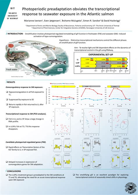 PDF Photoperiodic Preadaptation Obviates The Transcriptional Response