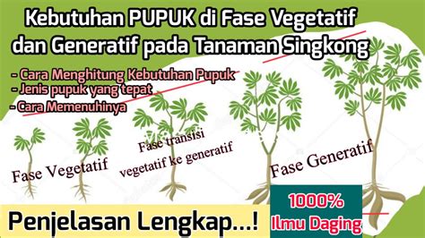 Kebutuhan Pupuk Yang Tepat Di Fase Vegetatif Dan Generatif Pada Tanaman