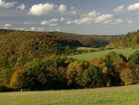 das Marburger Speicherung von Kohlenstoff im Ökosystem und