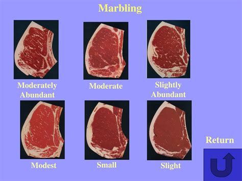 Ppt Beef Carcass Quality Grading Cde Practice Based On The Fall 2004