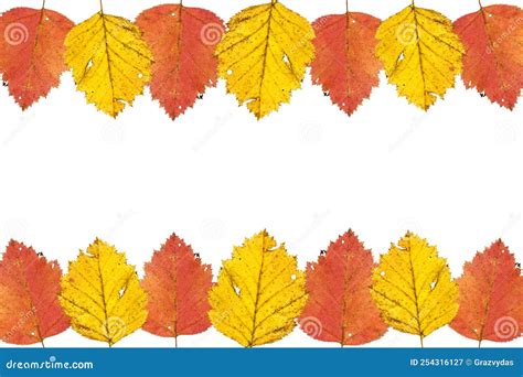 Border Frame Of Colorful Autumn Leaves Stock Image Image Of Beauty