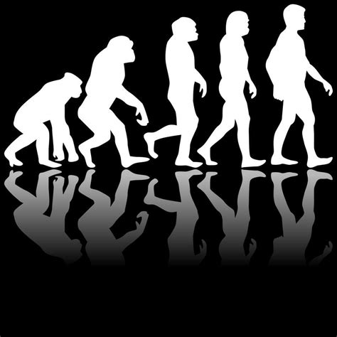 This Is A Picture Of Evolution I Chose This Picture Because It Shows