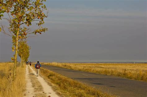 Etapa El Burgo Ranero Le N Km Viajes Organizados Camino