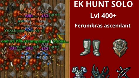 Aurera Global Melhor Hunt Pra Ek Lvl 400 MT LOOT E XP YouTube