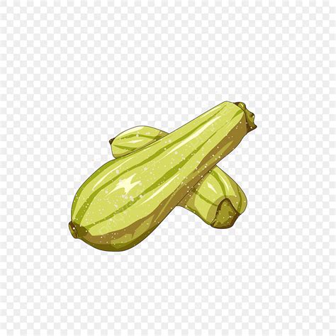 Cartoon Zucchini Png Vector Psd And Clipart With Transparent