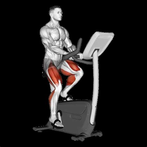 Elliptical Training: Guide, Muscles Worked, Tips | Athlemove