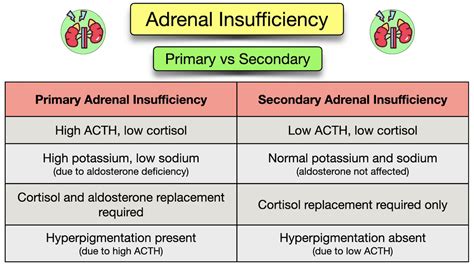 Adrenal Insufficiency Symptoms Causes Treatment Diagnosis Labs