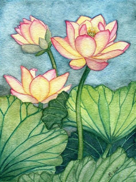 Lotus Drawing Lotus Painting Flower Art Painting Fabric Painting