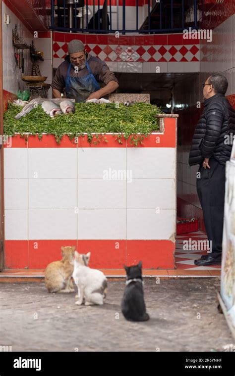 Souks and medina of Marrakech Stock Photo - Alamy