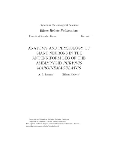 (PDF) Anatomy and physiology of giant neurons in the antenniform leg of ...