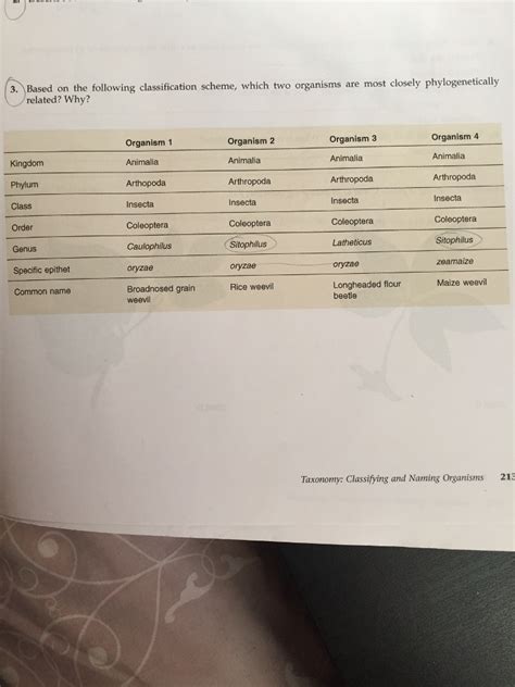 Solved Based On The Following Classification Scheme Which