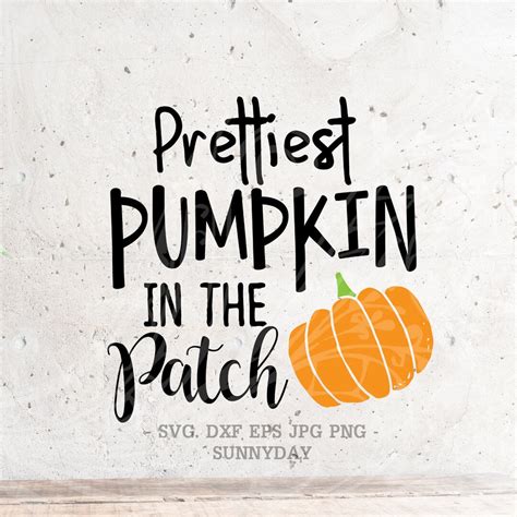 Prettiest Pumpkin In The Patch Svg File Dxf Silhouette Print Vinyl