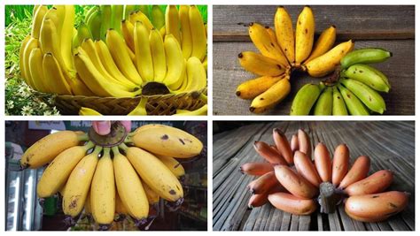 Vietnamese bananas: Top 5 delicious dishes that go beyond grilled ...