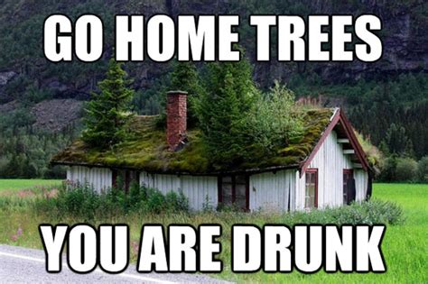 40 Best Examples Of The ‘go Home You’re Drunk’ Meme Bored Panda