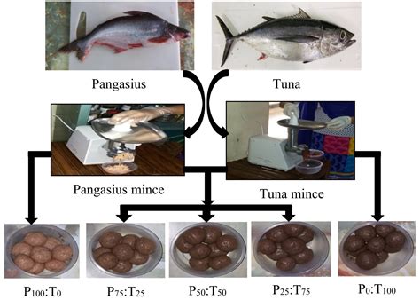 Effects Of Pangasius Pangasius Hypophthalmus And Skipjack Tuna Sarda