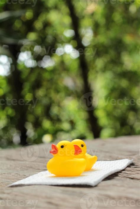 Lovely of yellow rubber duck 756951 Stock Photo at Vecteezy