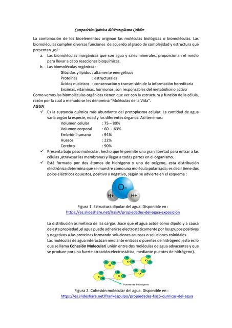 Biomoléculas Inorgánicas Eliz Apaza uDocz