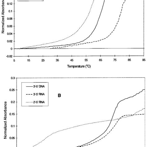 Melting Temperature Tm Values Of Duplexes Of Dna Rna And 2′ 5′ Rna Download Table