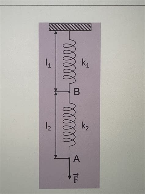 Solved Two Springs Of Spring Constants And Rest Lengths Of Chegg