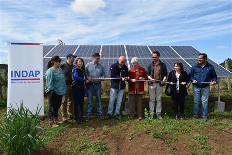 Proyecto De Riego Por Goteo Mejora Calidad De Vida A Productora De