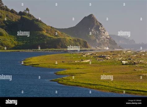 Stone Lagoon Humboldt Lagoons State Park California Stock Photo Alamy