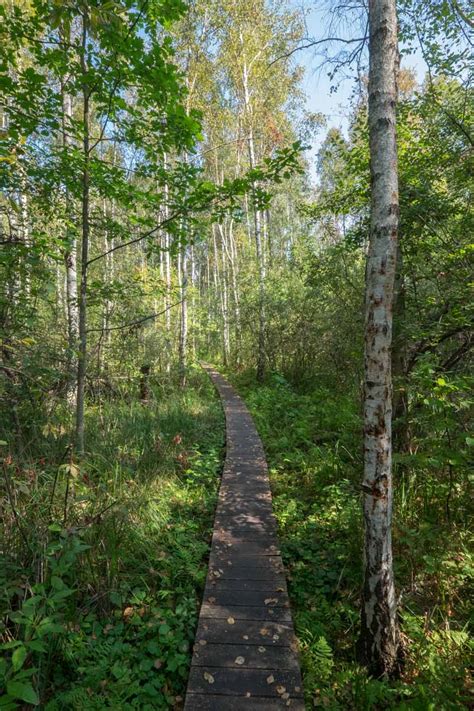 Poleski Park Narodowy Atrakcje Cie Ki I Mapa Krainy Urawia