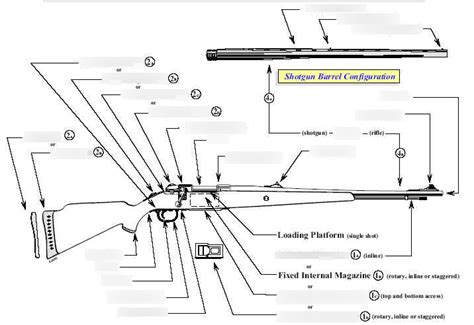 Bolt Action Nomenclature Diagram Quizlet