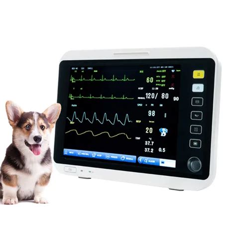 Icu Vital Sign Monitor Ecg Waveform Portable Ccu Multiparameter Medical