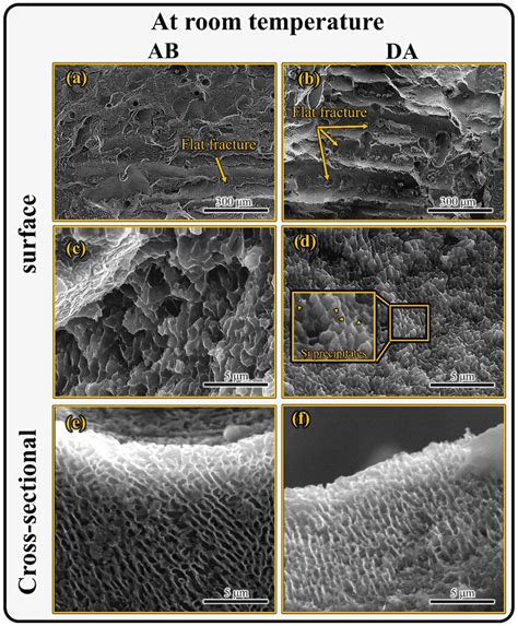 A And B Are SEM Images Of Fracture Surfaces Of The Fractured