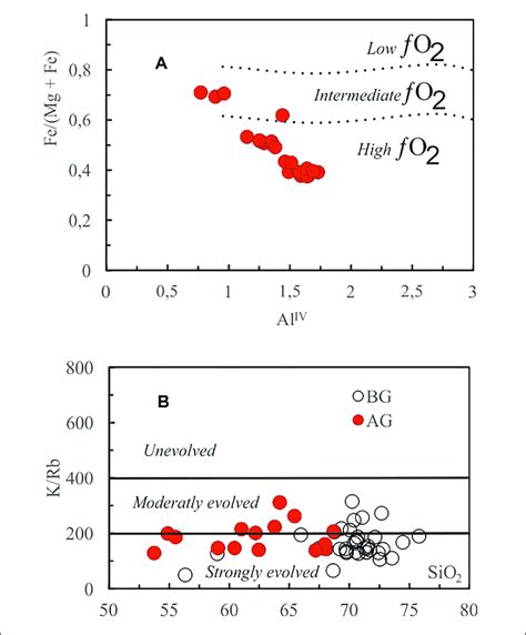 A Al Iv Values Vs Fefe Mg Ratios Of Amphiboles From The