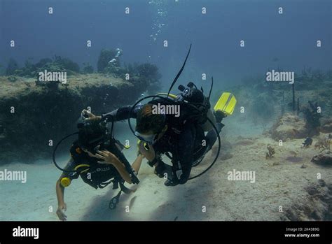 Scuba Diver In Practice Stock Photo Alamy