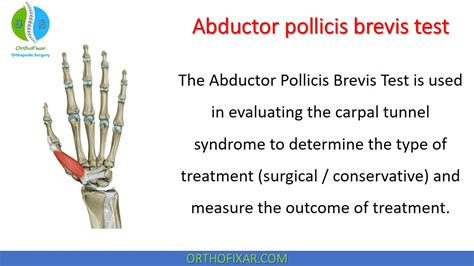 Abductor Pollicis Brevis Test | OrthoFixar 2025